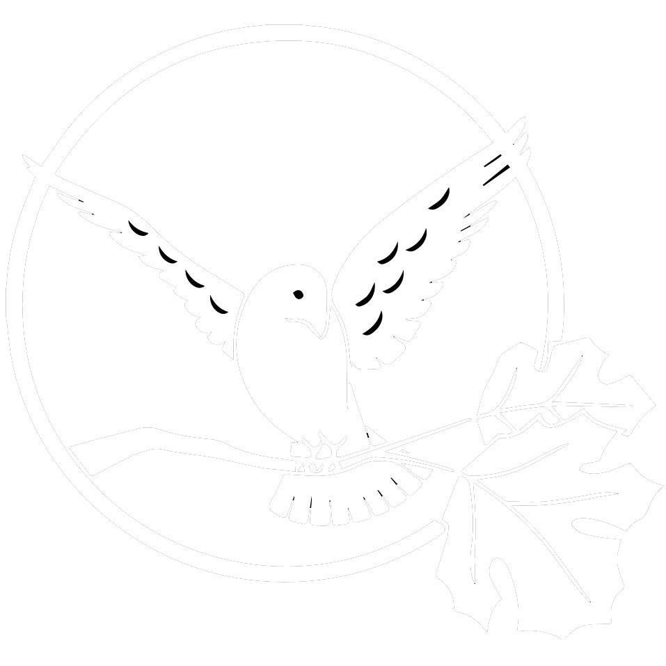 957x957 Mental Health Counseling White Bird Clinic - White Bird Drawing