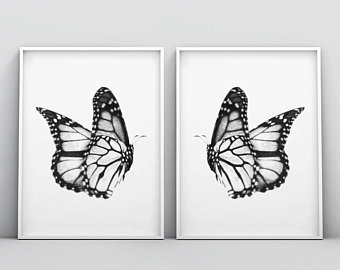 340x270 Butterfly Drawing Etsy - White Butterfly Drawing