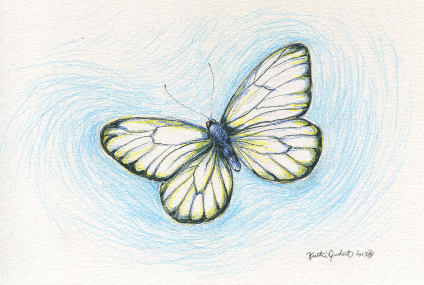 1400x942 Cabbage White Butterfly A Series Kristingjerdset - White Butterfly Drawing