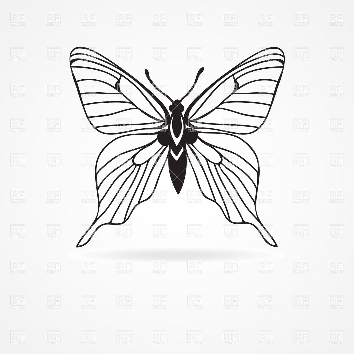 1200x1200 White Butterfly Vector Image Of Plants And Animals Mcherevan - White Butterfly Drawing