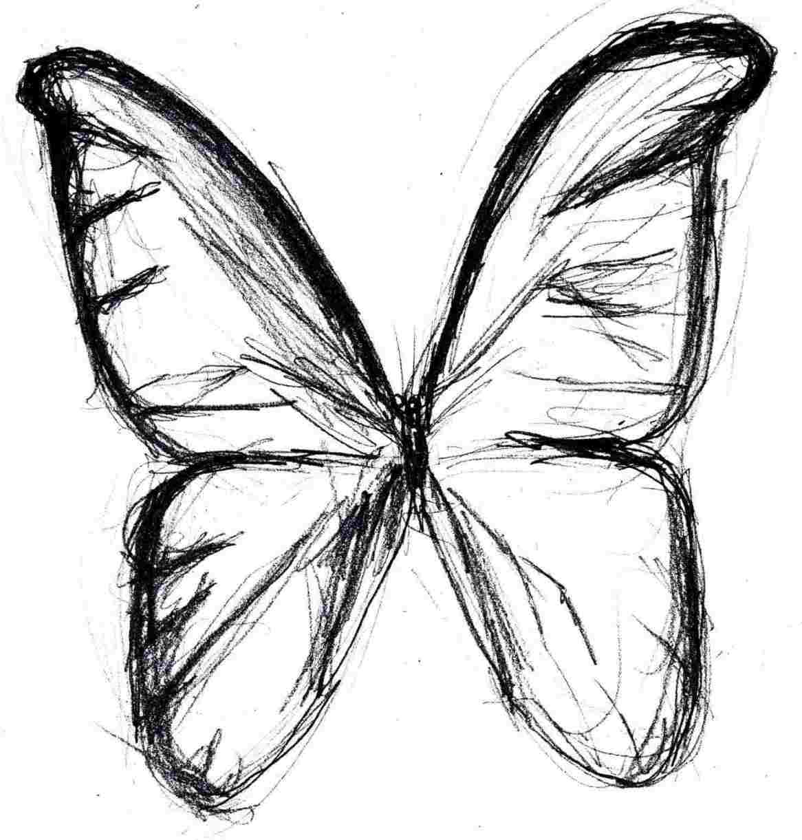 1166x1221 free easy butterfly drawings in black and white butterfly drawings - White Butterfly Drawing
