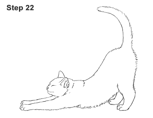 500x386 How To Draw A Cat - White Cat Drawing