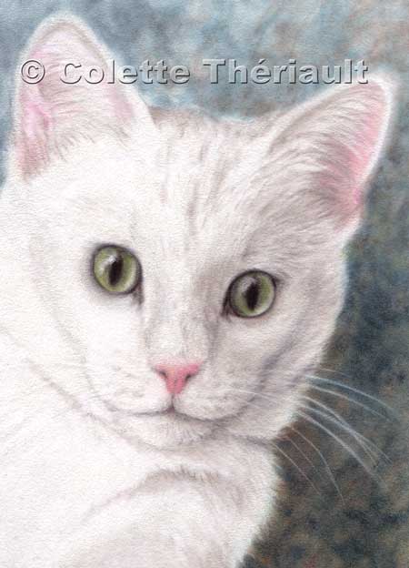 450x624 White Cat Pastel Pencil Drawing Pet Portraits Drawing Custom - White Cat Drawing