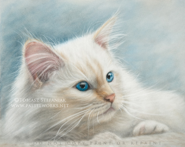 White Cat Drawing at PaintingValley.com | Explore collection of White ...