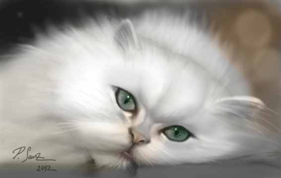 567x360 White Cat, Step - White Cat Drawing