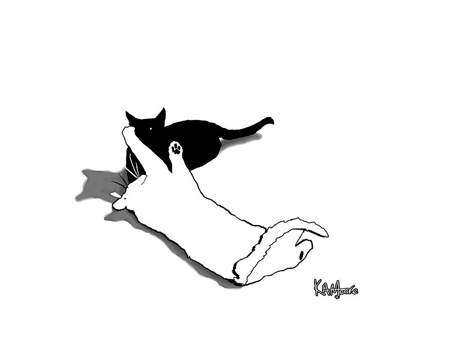 900x675 Black And White Cats Drawing - White Cat Drawing