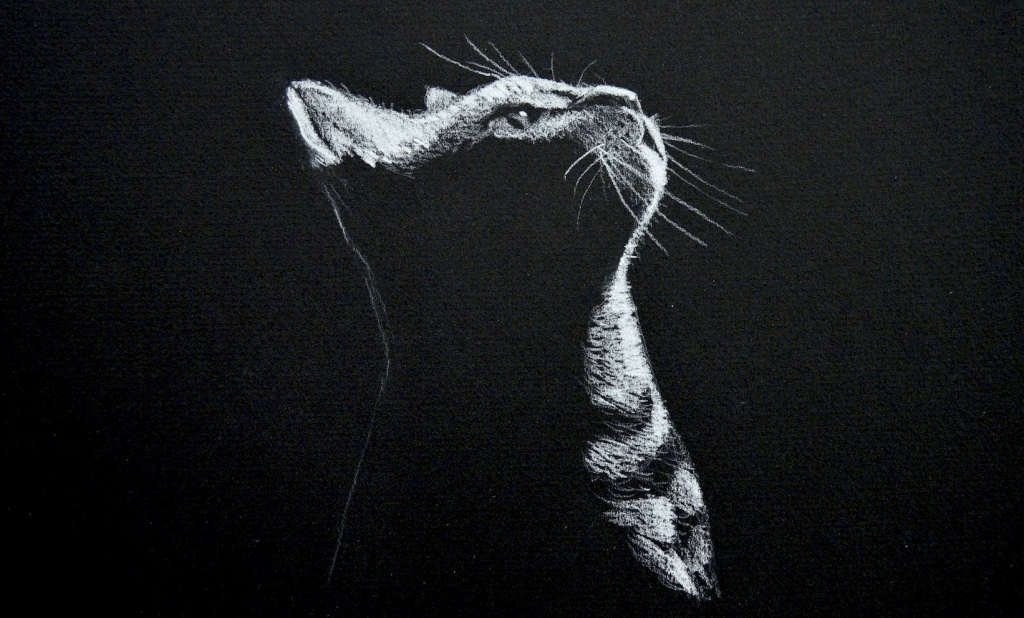 Images Of Easy Chalk Drawings On Paper