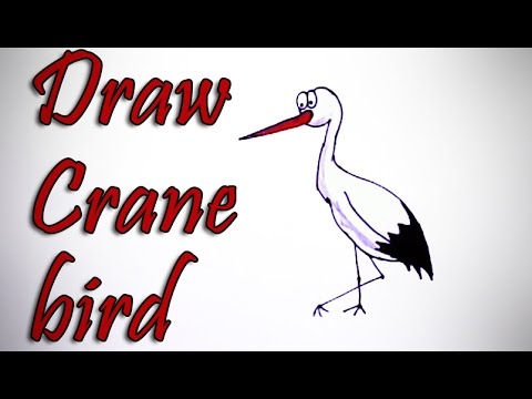 480x360 How To Draw A Crane Bird - White Crane Drawing