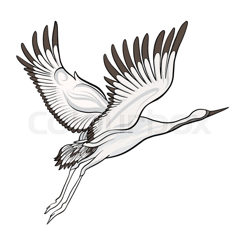 800x800 japanese crane isolated drawing stock stock vector colourbox - White Crane Drawing