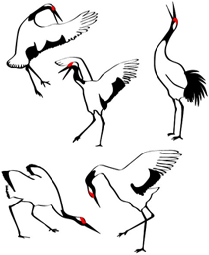422x515 The White Crane Katas Of Nishioka Shihan Iklnews - White Crane Drawing