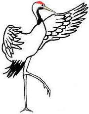 180x230 White Crane Products - White Crane Drawing