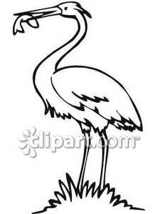 225x300 Black And White Crane Eating Fish - White Crane Drawing