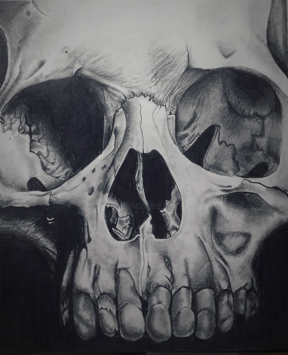 974x1200 Crane Humain Drawing - White Crane Drawing