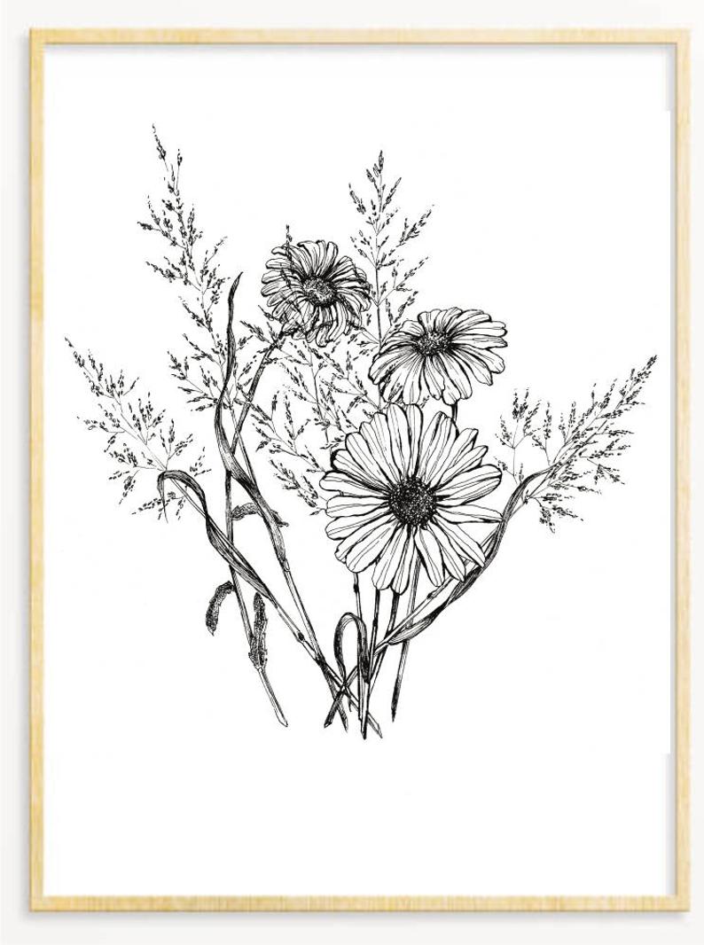 794x1066 Chamomile Flower White Daisy Real Hand Drawing Print Etsy - White Daisy Drawing