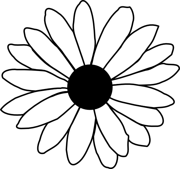 600x562 Collection Of Free Drawing Flower Daisy Download On Ui Ex - White Daisy Drawing