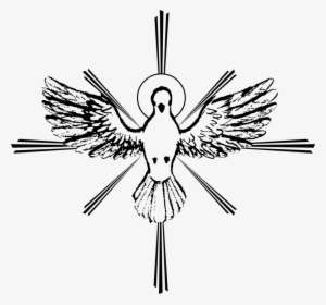 300x280 holy spirit dove png, free hd holy spirit dove transparent image - White Dove Drawing