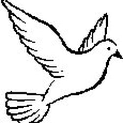 250x250 white dove market grill - White Dove Drawing