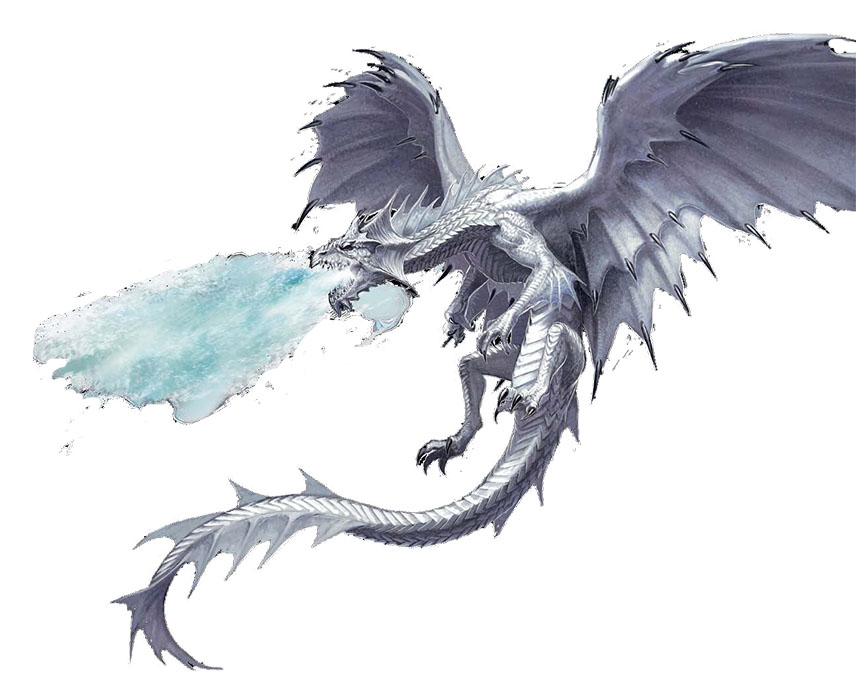 856x700 white dragon awaiting the muse - White Dragon Drawing