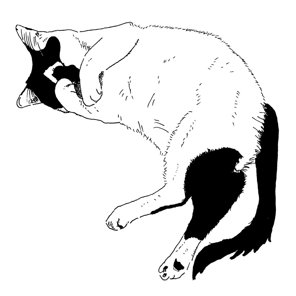 1000x1000 Black And White Drawings Chelsea Vaught Art - White Drawings