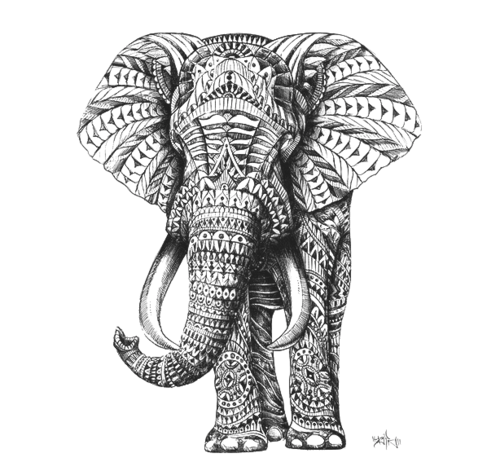 500x462 Drawing Black And White Elephant Vertical Thelittleparadise - White Elephant Drawing