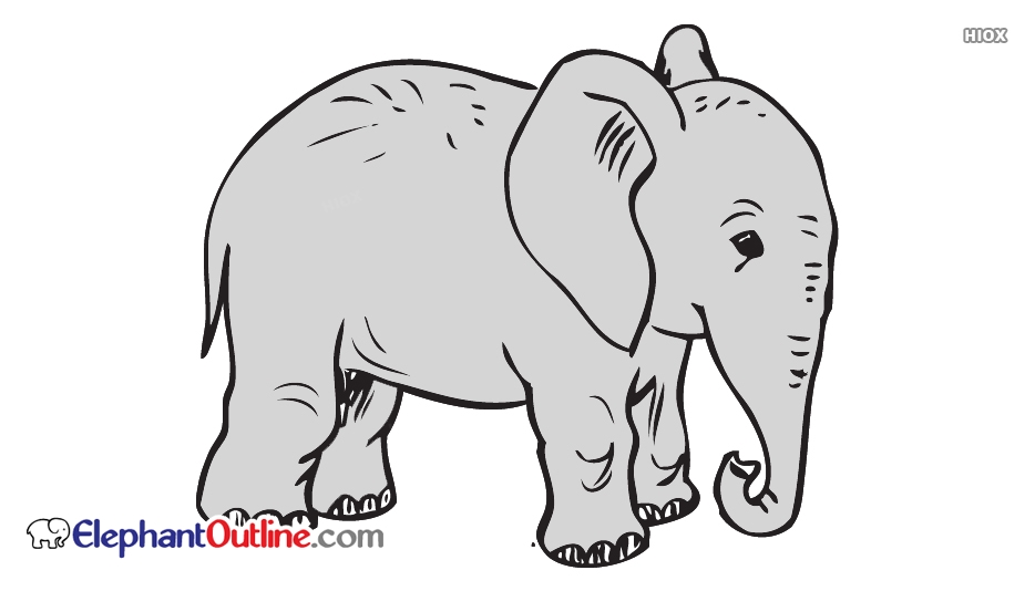 934x534 Black And White Elephant Outline - White Elephant Drawing