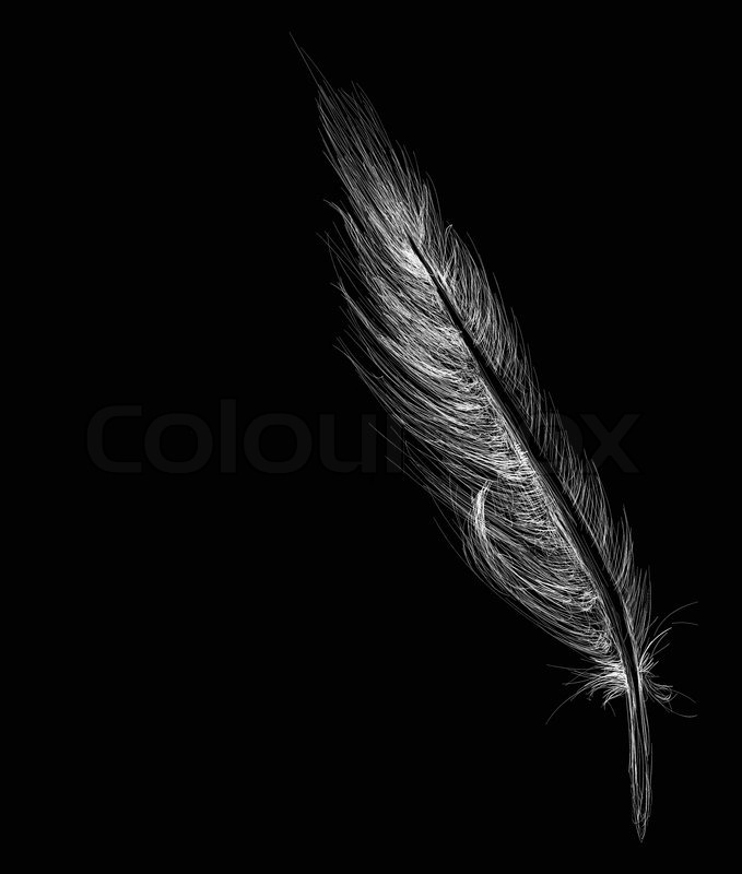 679x800 Feather Sketch Stock Vector Colourbox - White Feather Drawing