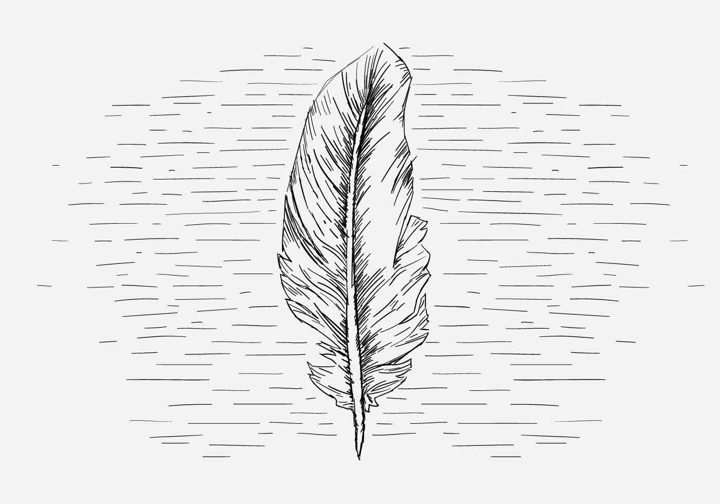 1400x980 Feather Vector Free - White Feather Drawing
