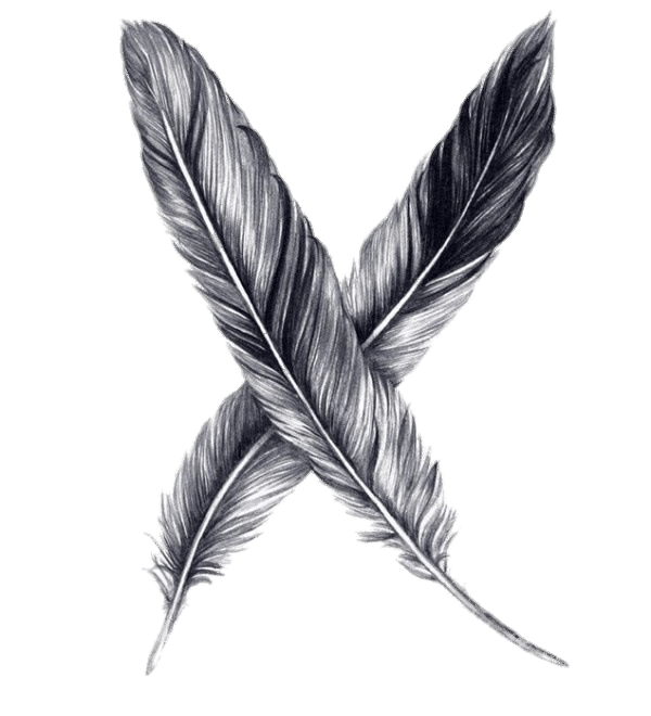 600x660 Feathers Drawing Transparent Png - White Feather Drawing