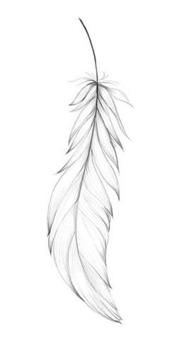 240x480 simple white feather temporary tattoo tattoo drawings feather - White Feather Drawing
