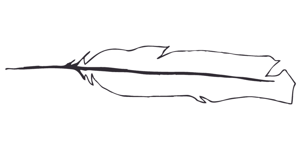 1024x512 What Does Finding A White Feather Mean Diane Alkier - White Feather Drawing