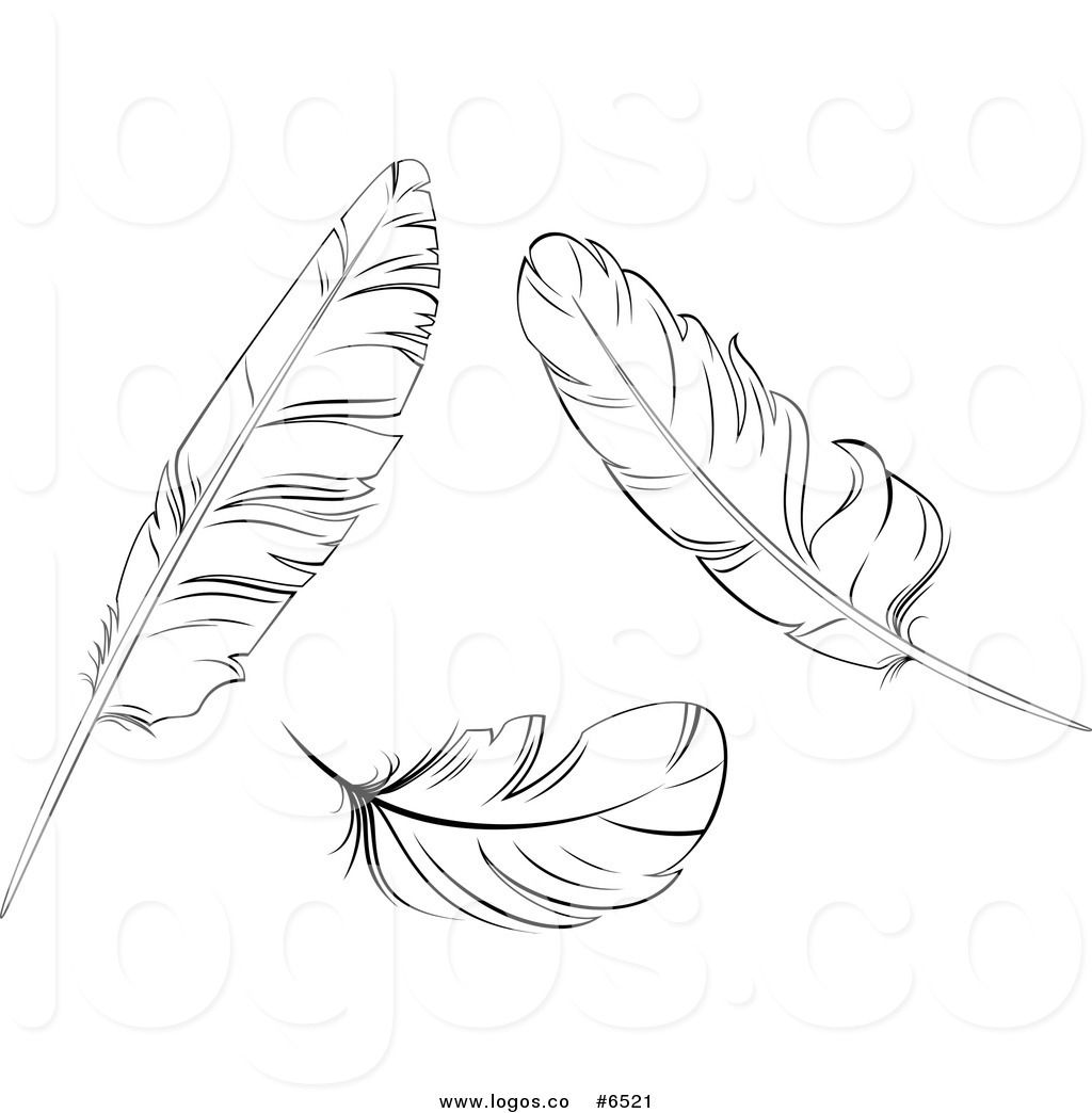 1024x1044 White Feather Clip Art - White Feather Drawing
