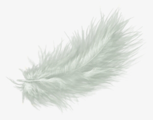 300x235 white feather png, transparent white feather png image free - White Feather Drawing
