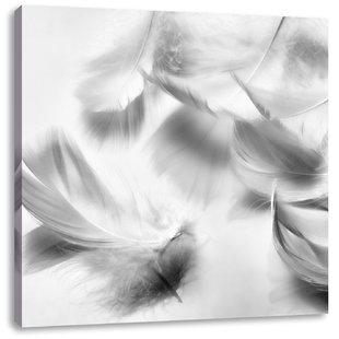 310x310 Feather Pictures - White Feather Drawing