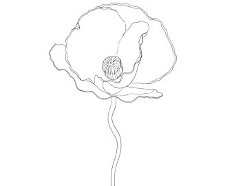 340x270 Flower Line Drawing Etsy - White Flower Drawing