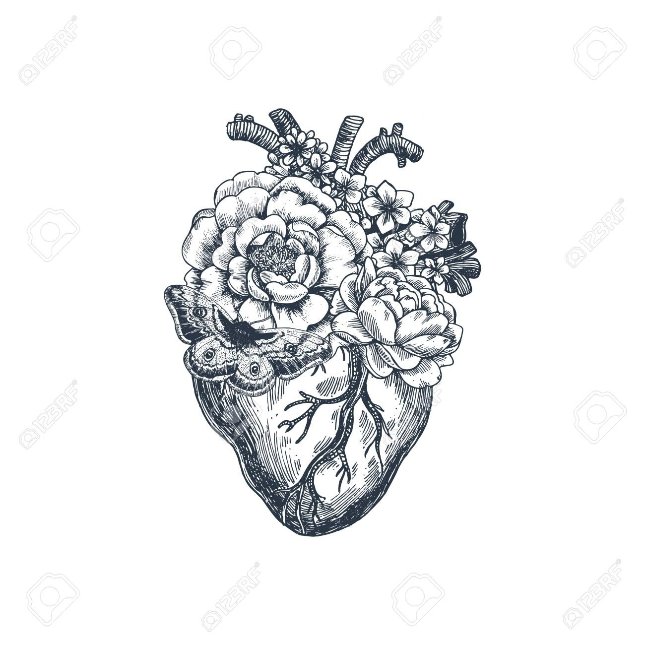 1300x1300 Heart With Flowers Drawing Anatomical Heart Drawing With Flowers - White Flower Drawing