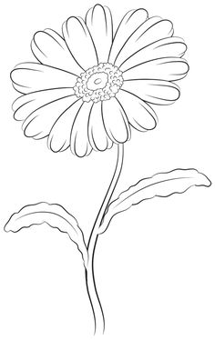 236x374 Black, Outline, Drawing, Flower, White, Flowers, Free Drawing - White Flower Drawing