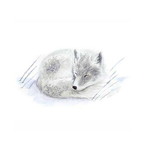 500x500 sleeping baby arctic fox gender neutral nursery wall - White Fox Drawing