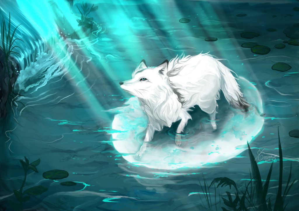 1024x724 White Arctic Fox - White Fox Drawing