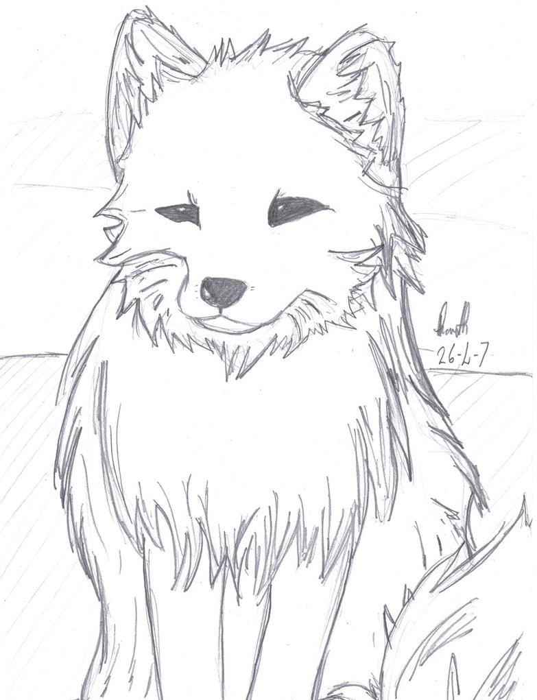 783x1021 Arctic Fox Drawing Photo Drawing Skill - White Fox Drawing