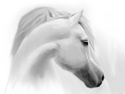 425x319 Step - White Horse Drawing