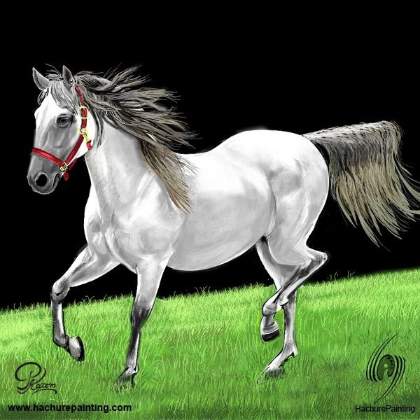 600x600 Trotting Horse In The Meadow, Drawing From View Tutorial - White Horse Drawing