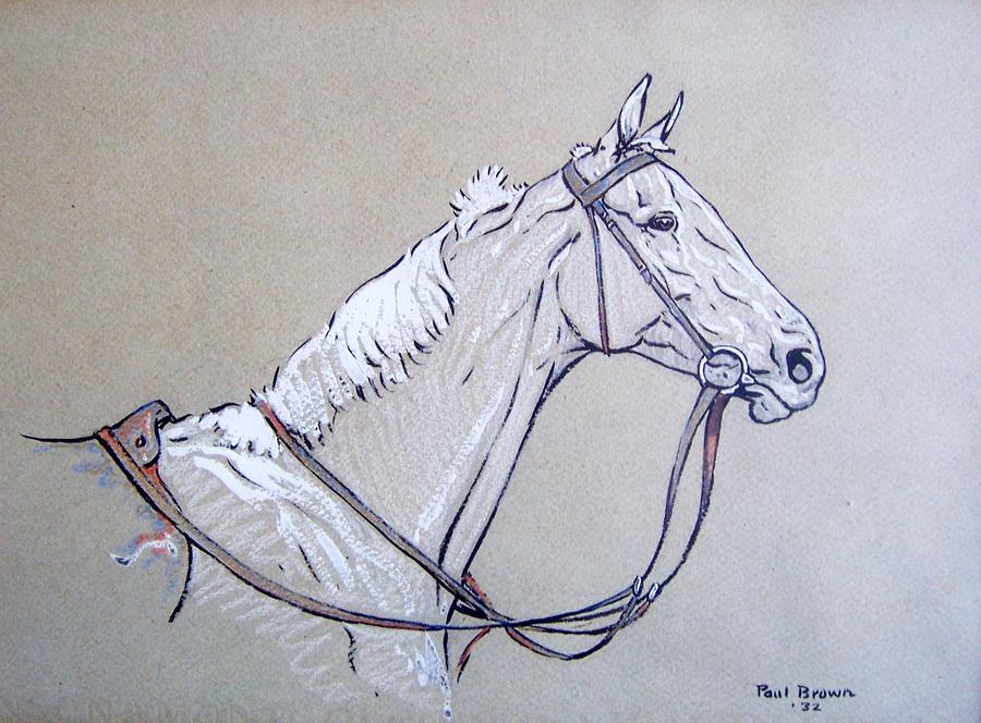 900x664 White Horse Drawing - White Horse Drawing