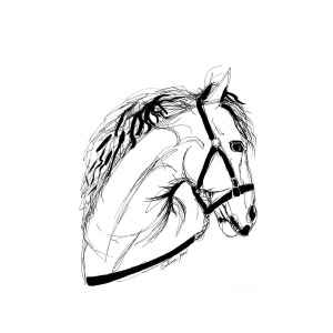 300x300 White Horse Drawing - White Horse Drawing