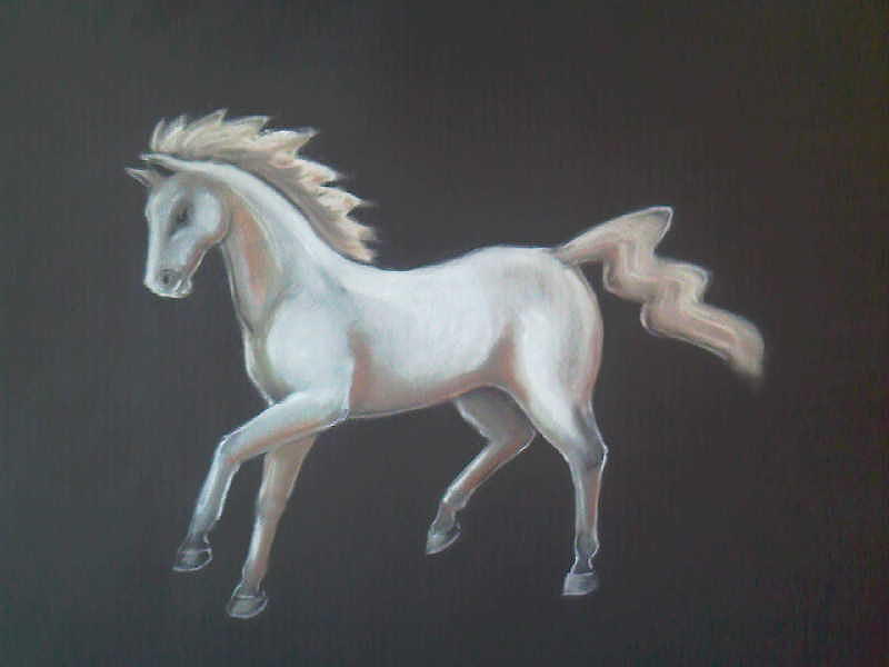 800x600 White Horse Drawing - White Horse Drawing