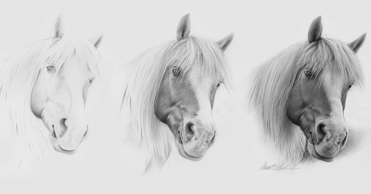 1200x628 you'll never think of drawing a horse the same way - White Horse Drawing