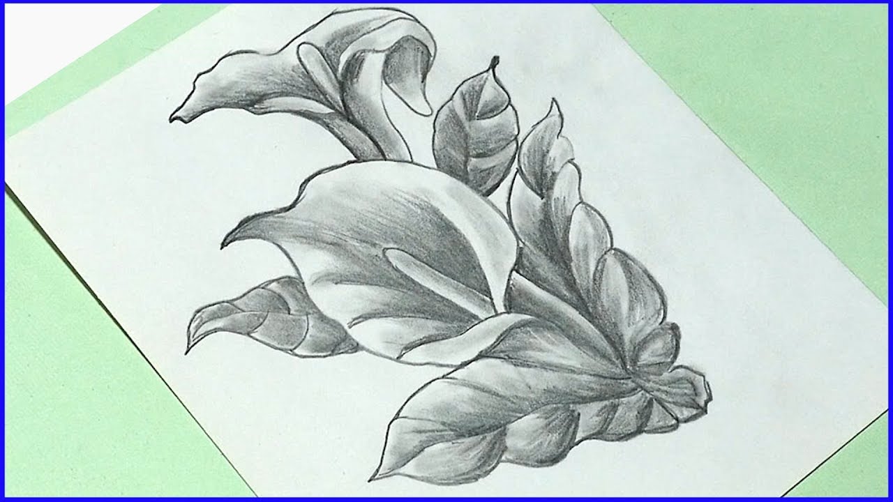 1280x720 How To Draw Realistic Water Lily Flower Daily Art Step - White Lily Drawing