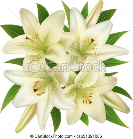 450x470 white lily flowers illustration of bouquet from white lily - White Lily Drawing