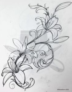 236x300 White Lily Flower Drawings - White Lily Flower Drawing