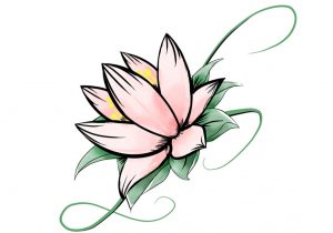 300x210 lotus flower drawings free black and white lotus flower royalty - White Lotus Flower Drawing