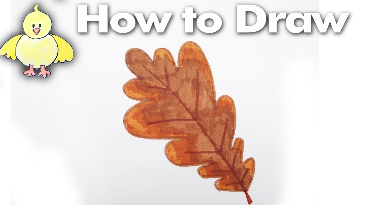 1280x720 How To Draw An Easy Oak Leaf Step - White Oak Leaf Drawing